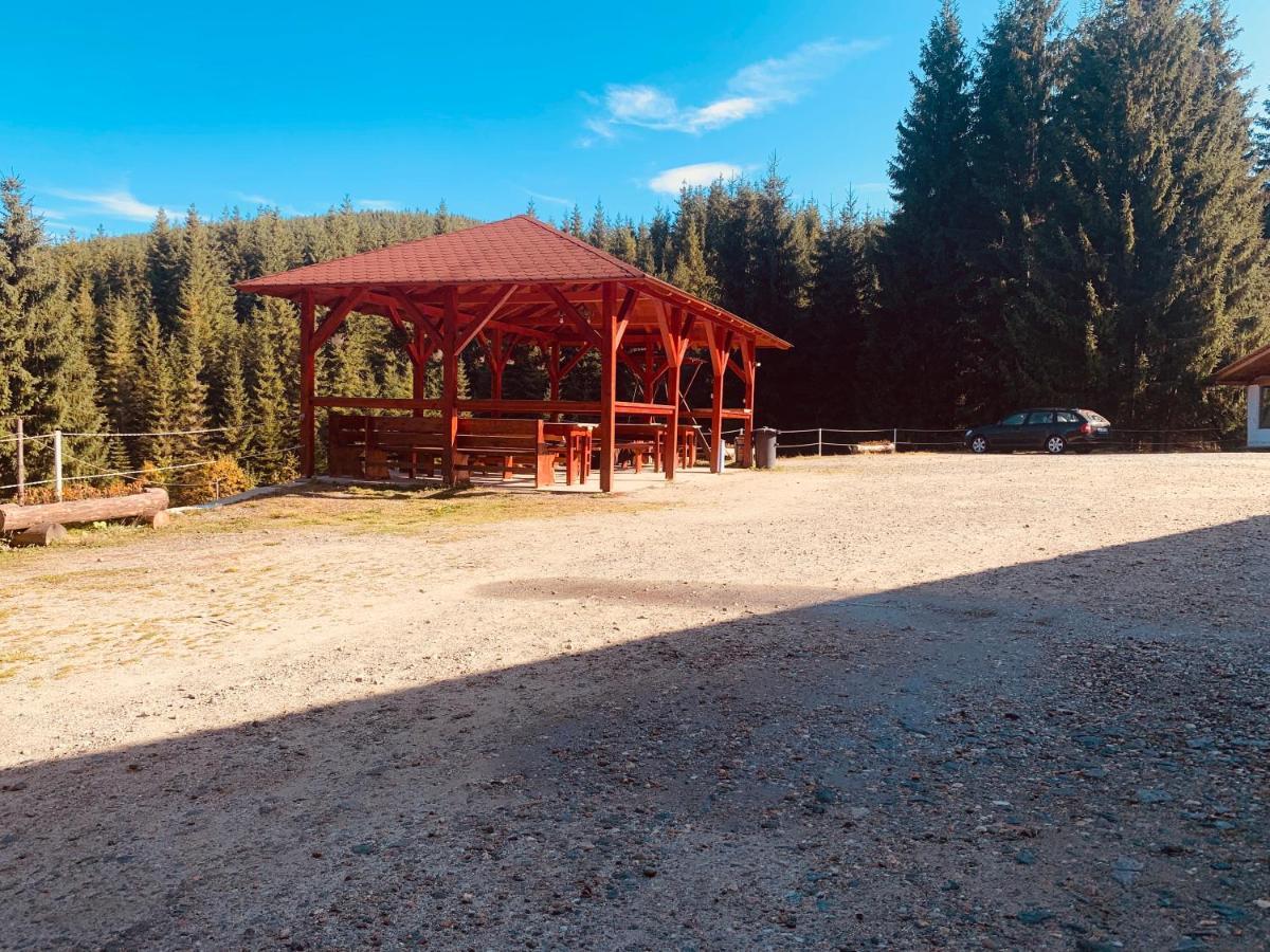 Cabana Cerbul-Oasa-Transalpina Ciban Exterior foto