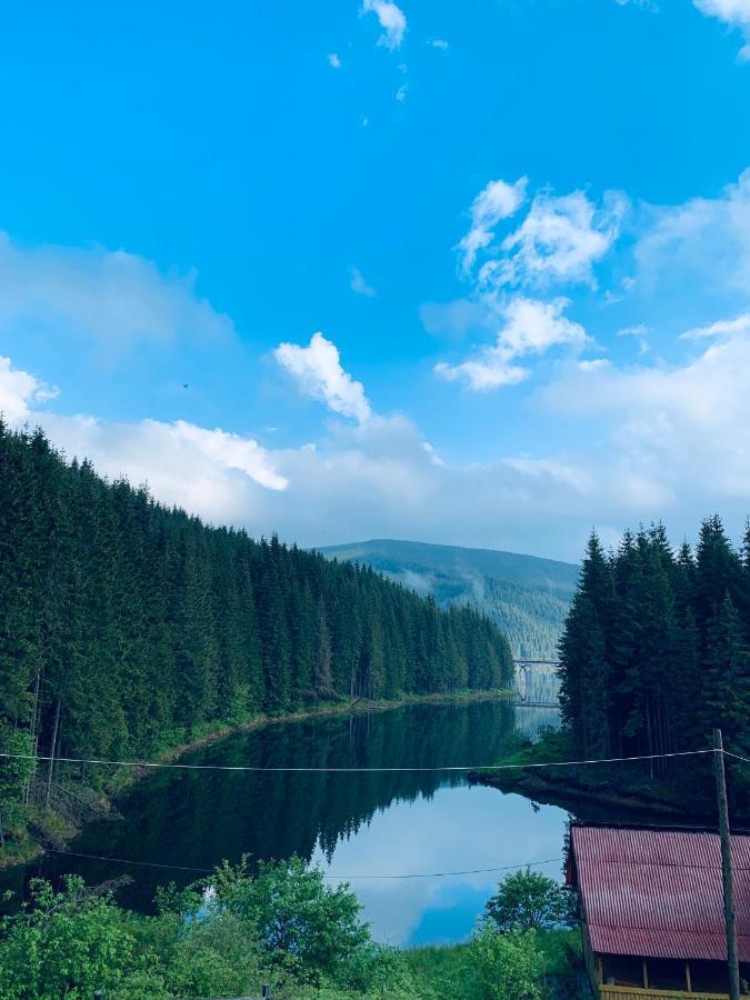 Cabana Cerbul-Oasa-Transalpina Ciban Exterior foto