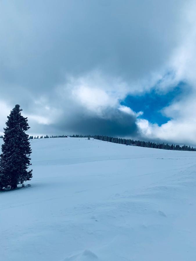 Cabana Cerbul-Oasa-Transalpina Ciban Exterior foto